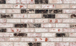 Rustic 12.4.19 Cropped